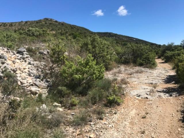 Chambre En Ardeche Du Sud Saint-Remeze Εξωτερικό φωτογραφία