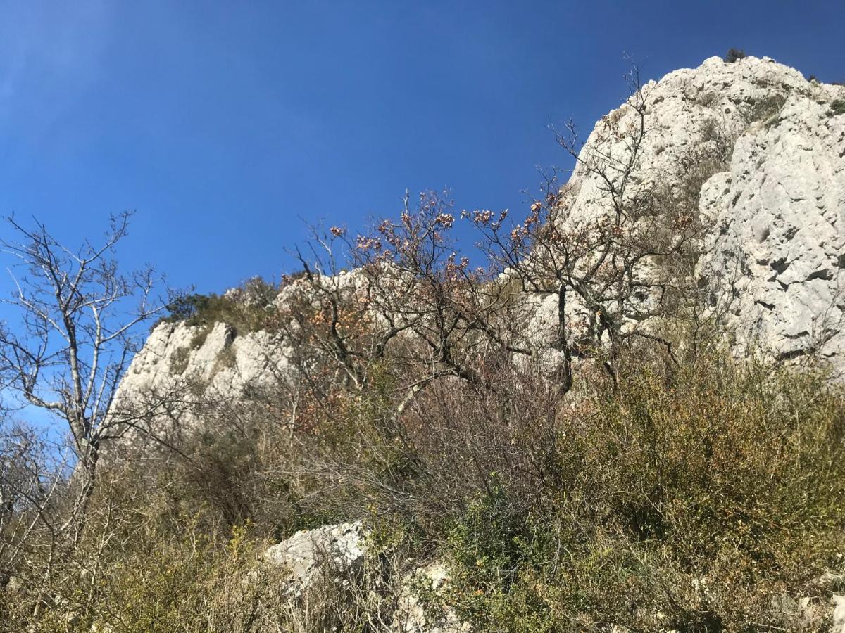 Chambre En Ardeche Du Sud Saint-Remeze Εξωτερικό φωτογραφία